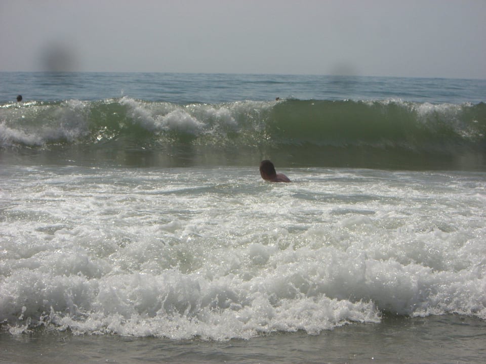 Super Wellen The Orangers Beach Resort and Bungalows