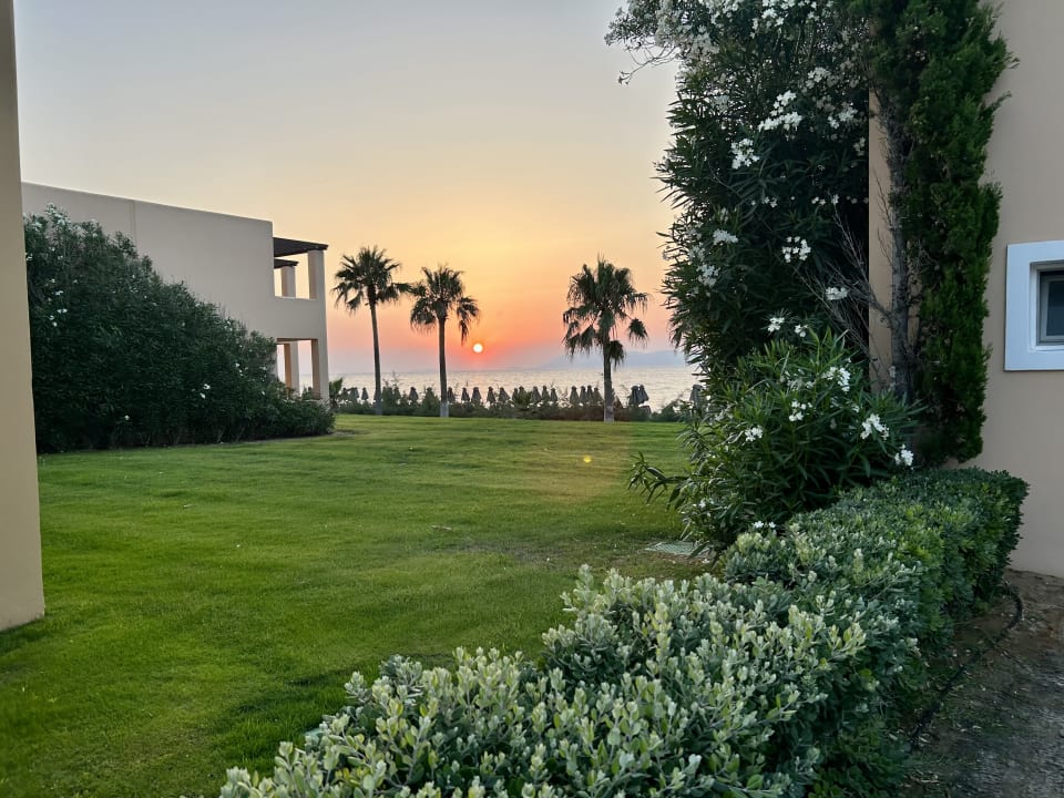 Gartenanlage Hotel Horizon Beach Resort