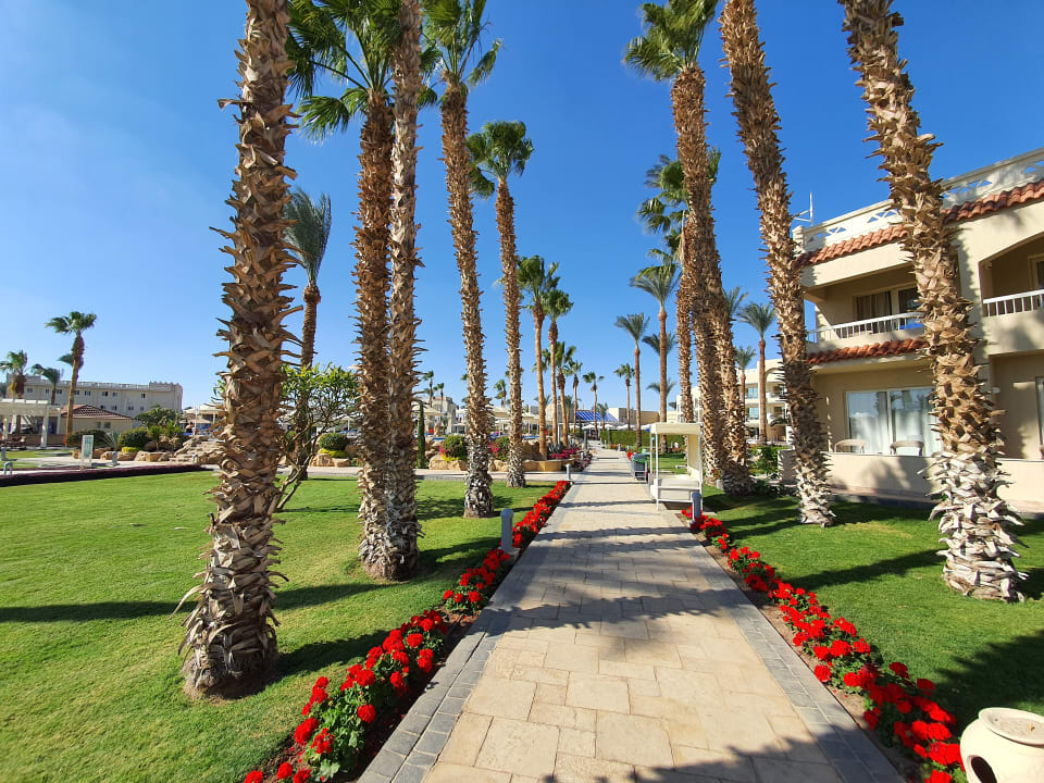 Gartenanlage Beach Albatros Resort