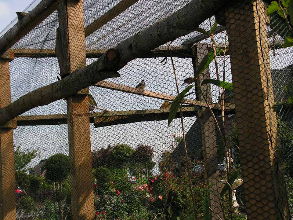 Gartenanlage Ferienwohnung Hohaus
