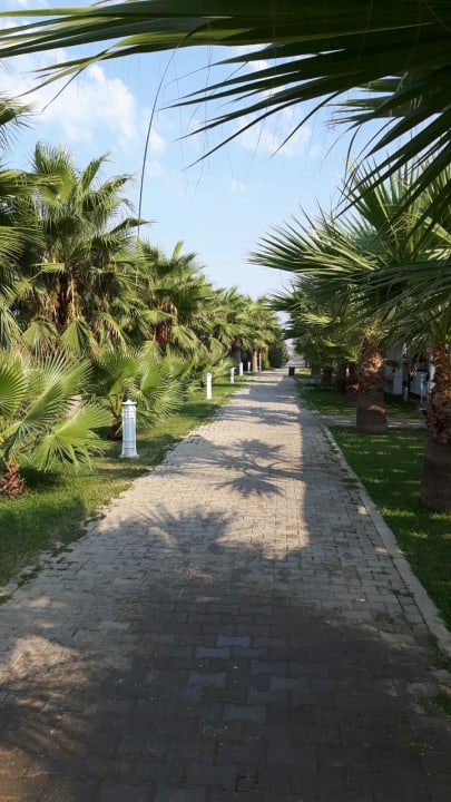 Gartenanlage Sultan of Dreams Hotel & Spa