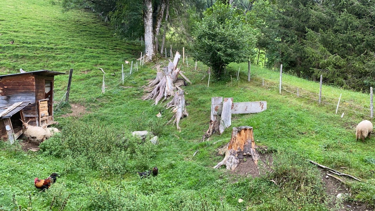 Gartenanlage Bauernhof Haus Waldesruh