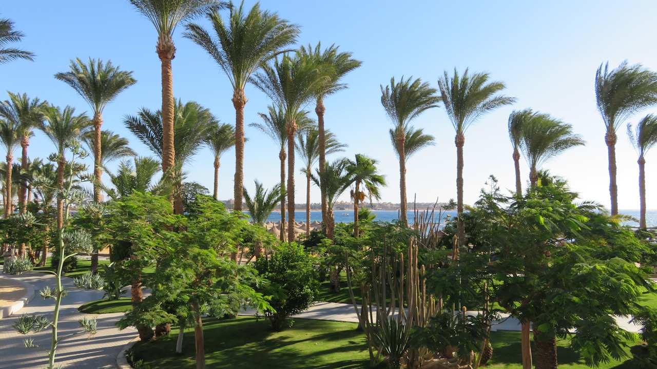 Gartenanlage Iberotel Makadi Beach