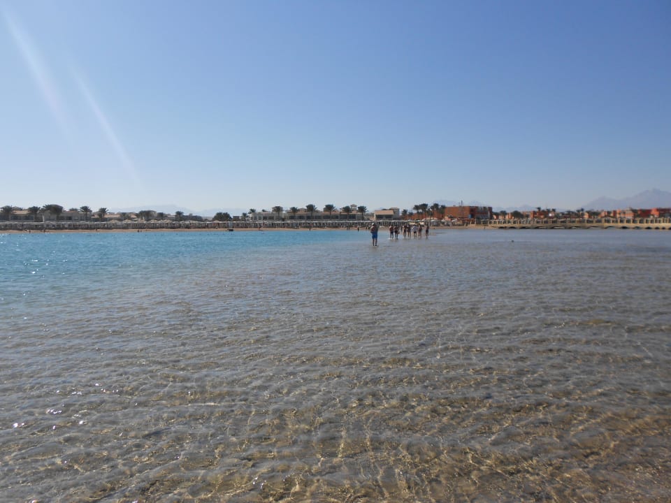 Sandbank Pickalbatros Dana Beach Resort - Hurghada
