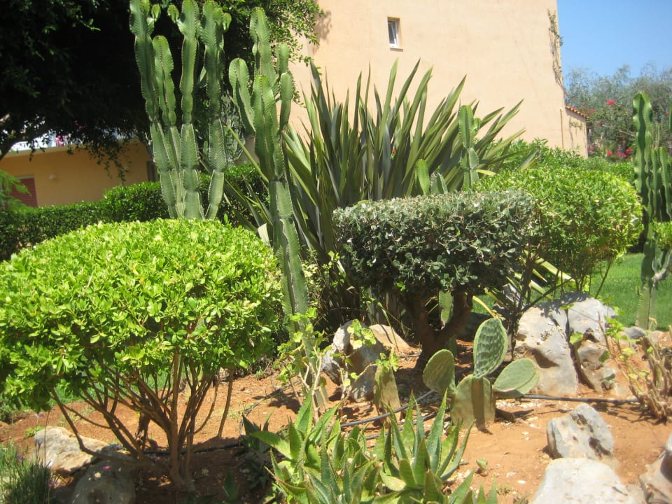 Kaktusy Anissa Beach & Village