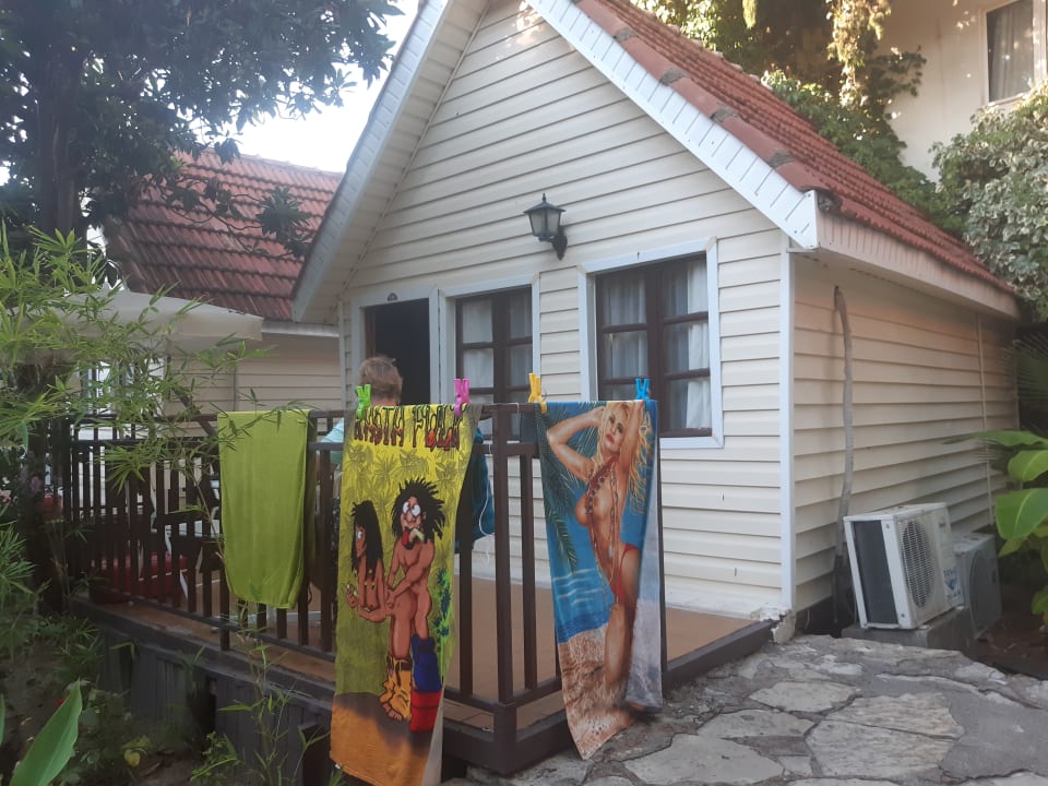 Zimmer Clover Magic Nova Beach