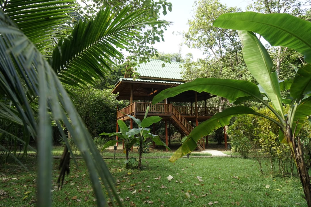 Gartenanlage Our Jungle House