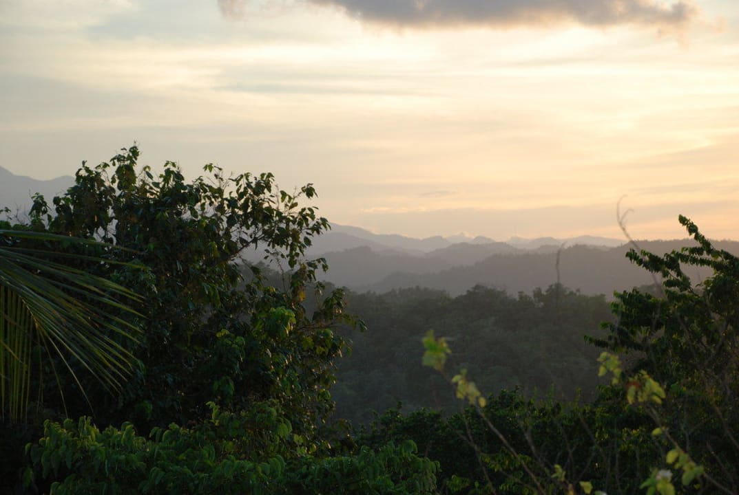 Blue Mountains Hotel Mockingbird Hill