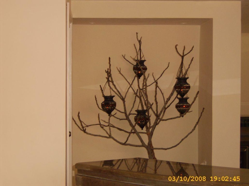 Blickfang hinter der Bar Hotel Sangho Club Zarzis