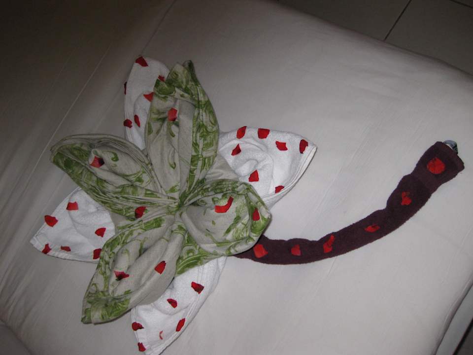 Überraschung des Servicepersonales  Ghazala Gardens