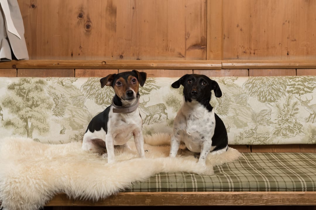 Sonstiges Hotel Diana