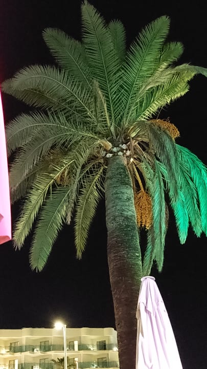 Ausblick allsun Hotel Bahia del Este