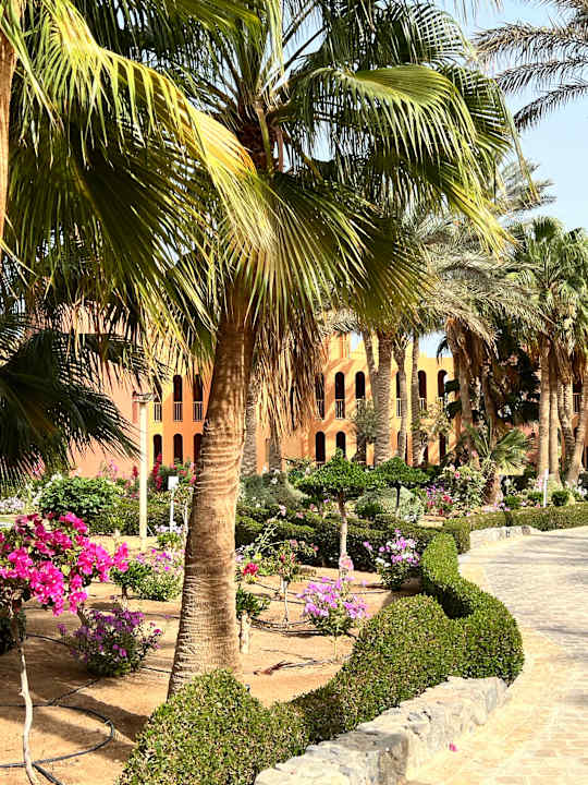 Gartenanlage Steigenberger Golf Resort El Gouna