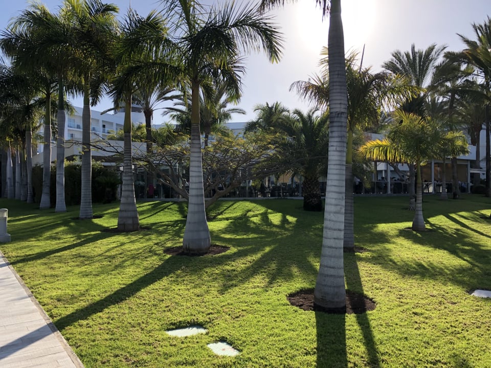 Gartenanlage Hotel Riu Palace Meloneras