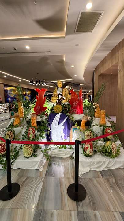 Gastro Delphin BE Grand