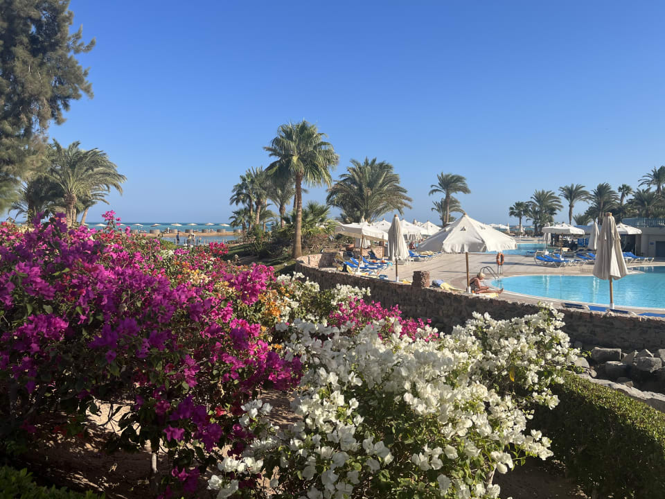 Außenansicht Mövenpick Resort & Spa El Gouna