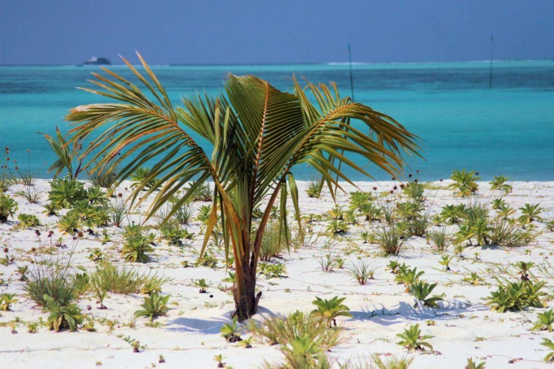 Strand Villa Park Sun Island