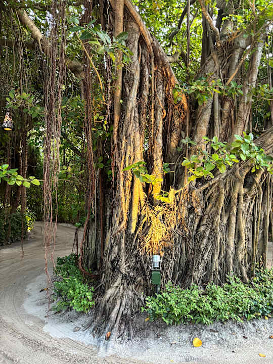 Außenansicht Kuredu Island Resort & Spa