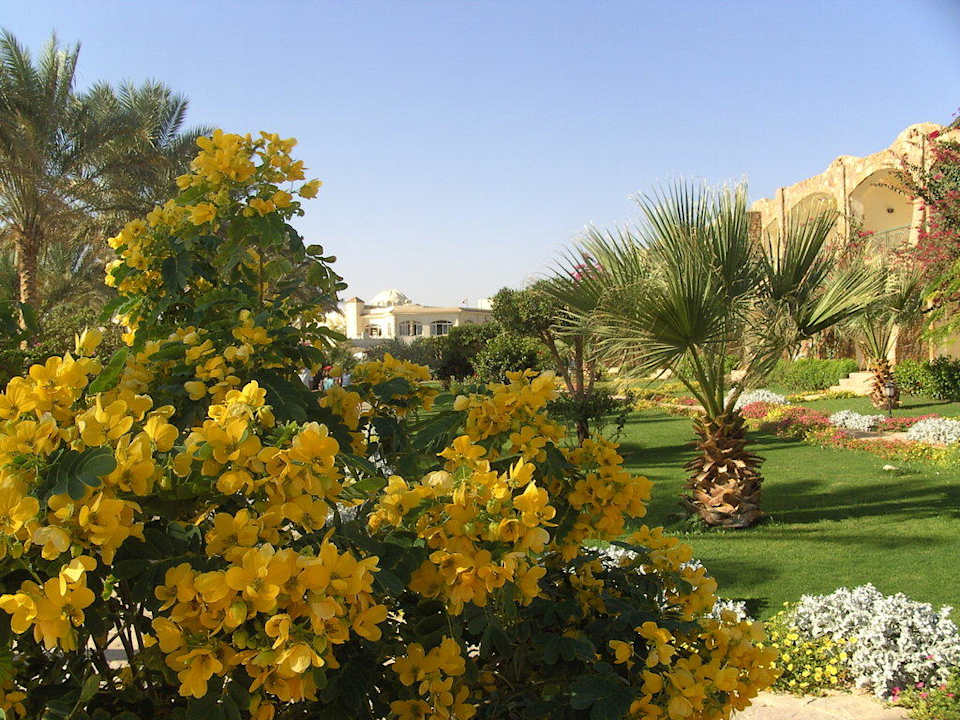 Blumenpracht Brayka Bay Resort