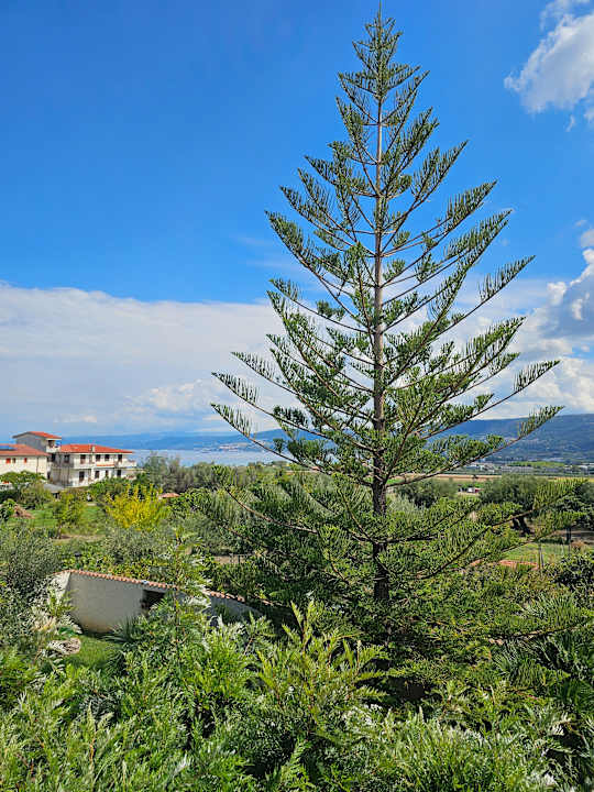 Ausblick Residenza Anna Calabria