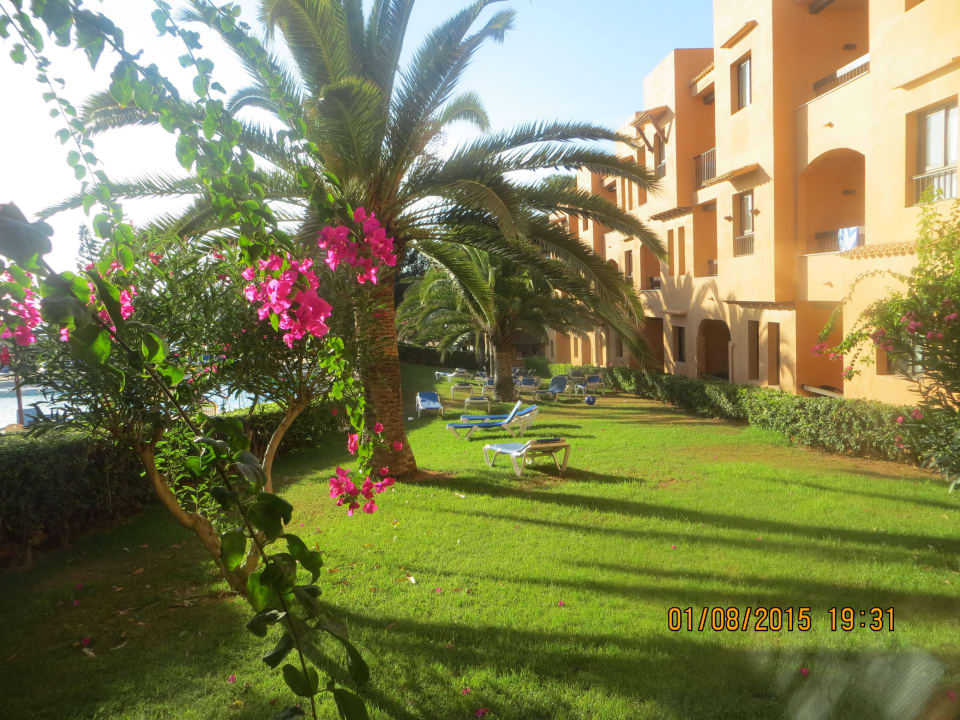 Garten Insotel Club Tarida Playa