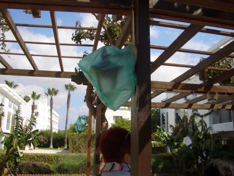 Garten Hotel Nissi Park