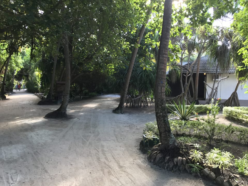 Gartenanlage Adaaran Select Meedhupparu Island Resort - Premium All Inclusive