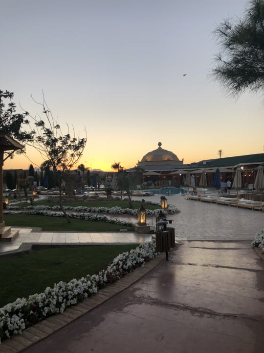 Garten Pickalbatros Jungle Aqua Park Resort - Neverland Hurghada