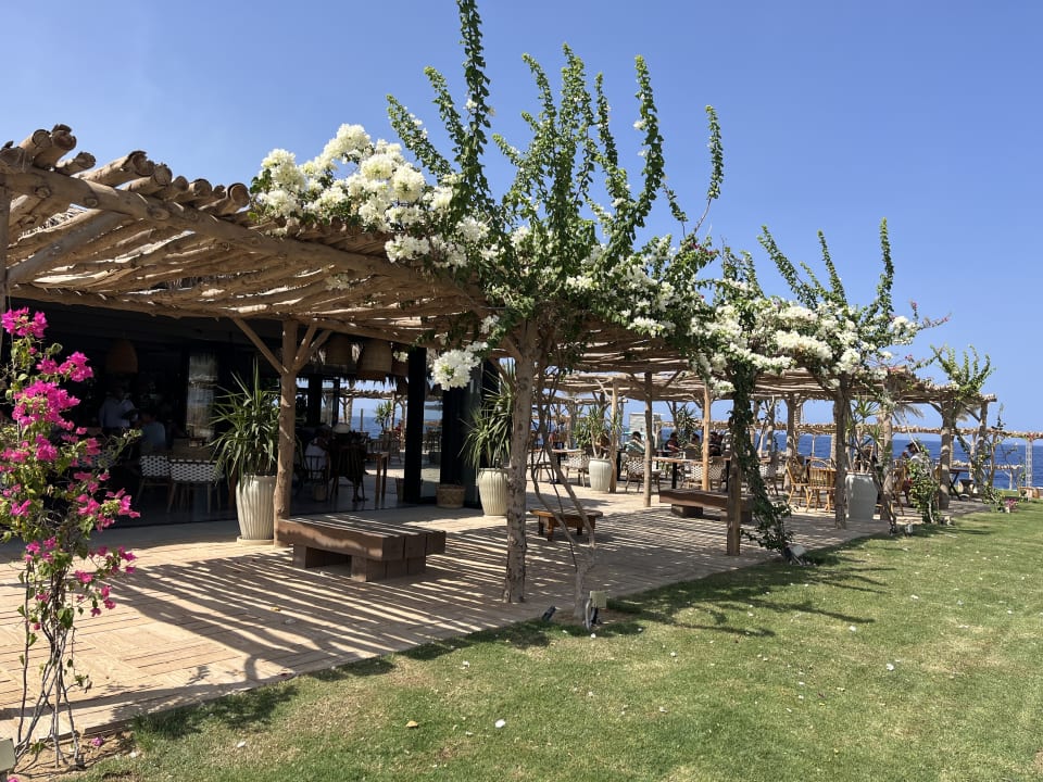 Strand Steigenberger Resort Alaya Marsa Alam - Red Sea - Adults only