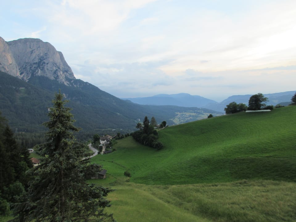 Zimmer Hotel Plunger