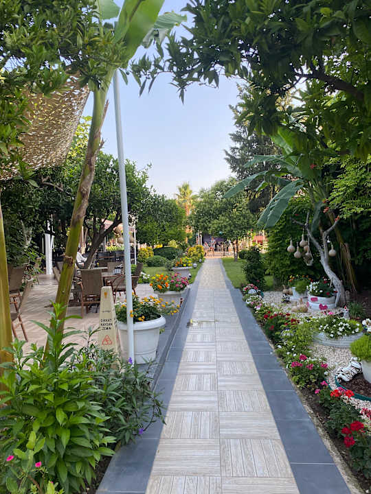 Gartenanlage Dg Hotels Rose Resort