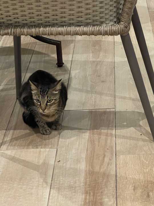 Sonstiges allsun Hotel Cristóbal Colón