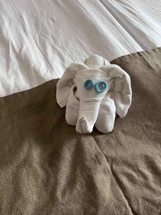 Zimmer Crystal Prestige Elite