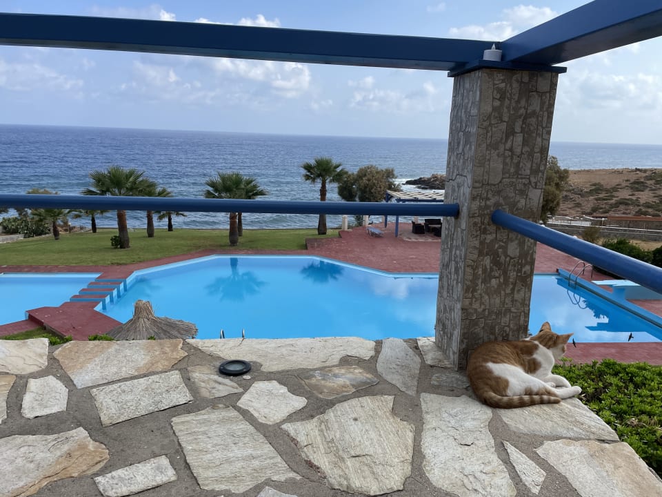 Pool Hotel Stella Beach