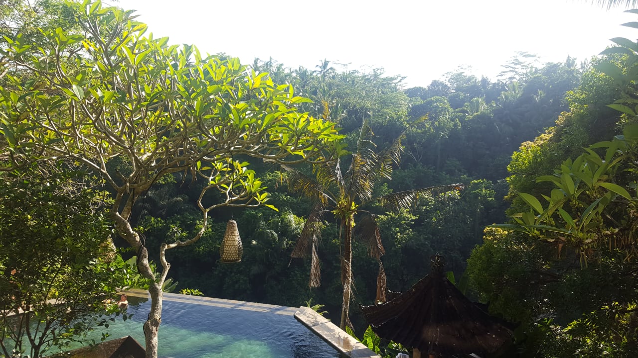 Ausblick Hotel Beji Ubud Resort