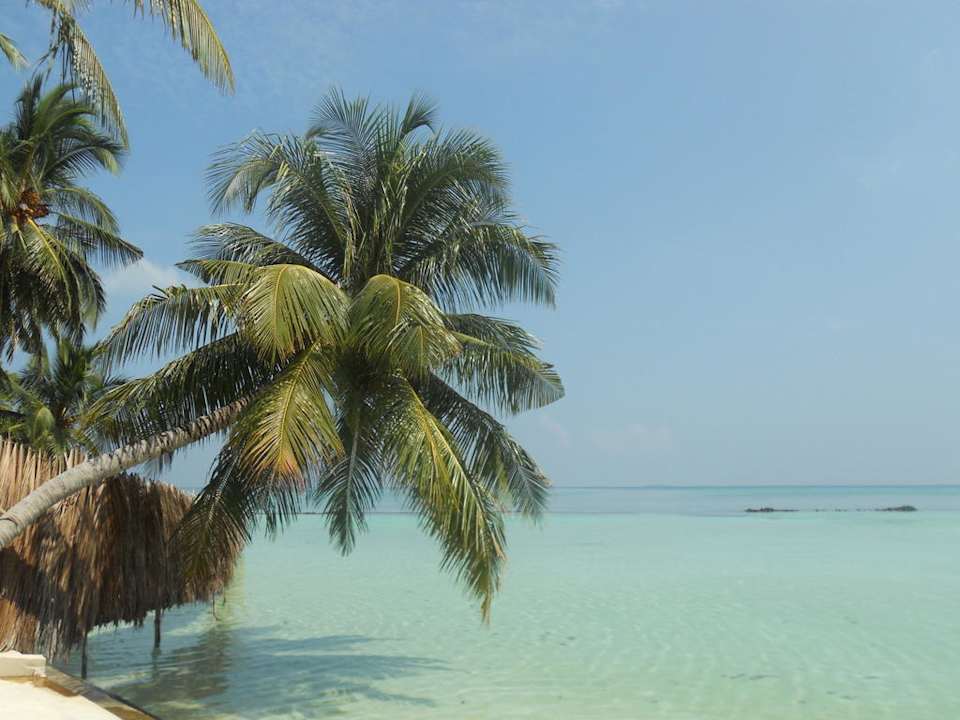 Typisches Malediven-Motiv Summer Island Maldives