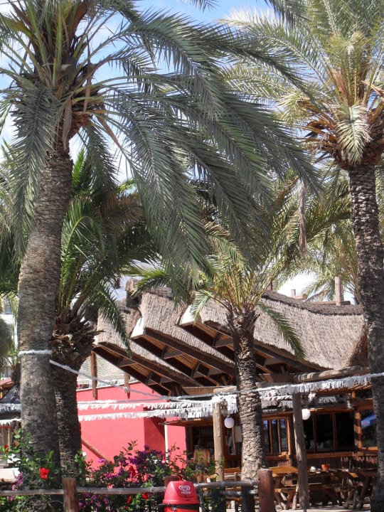 Blick von der Pool-Liege HL Miraflor Suites Hotel