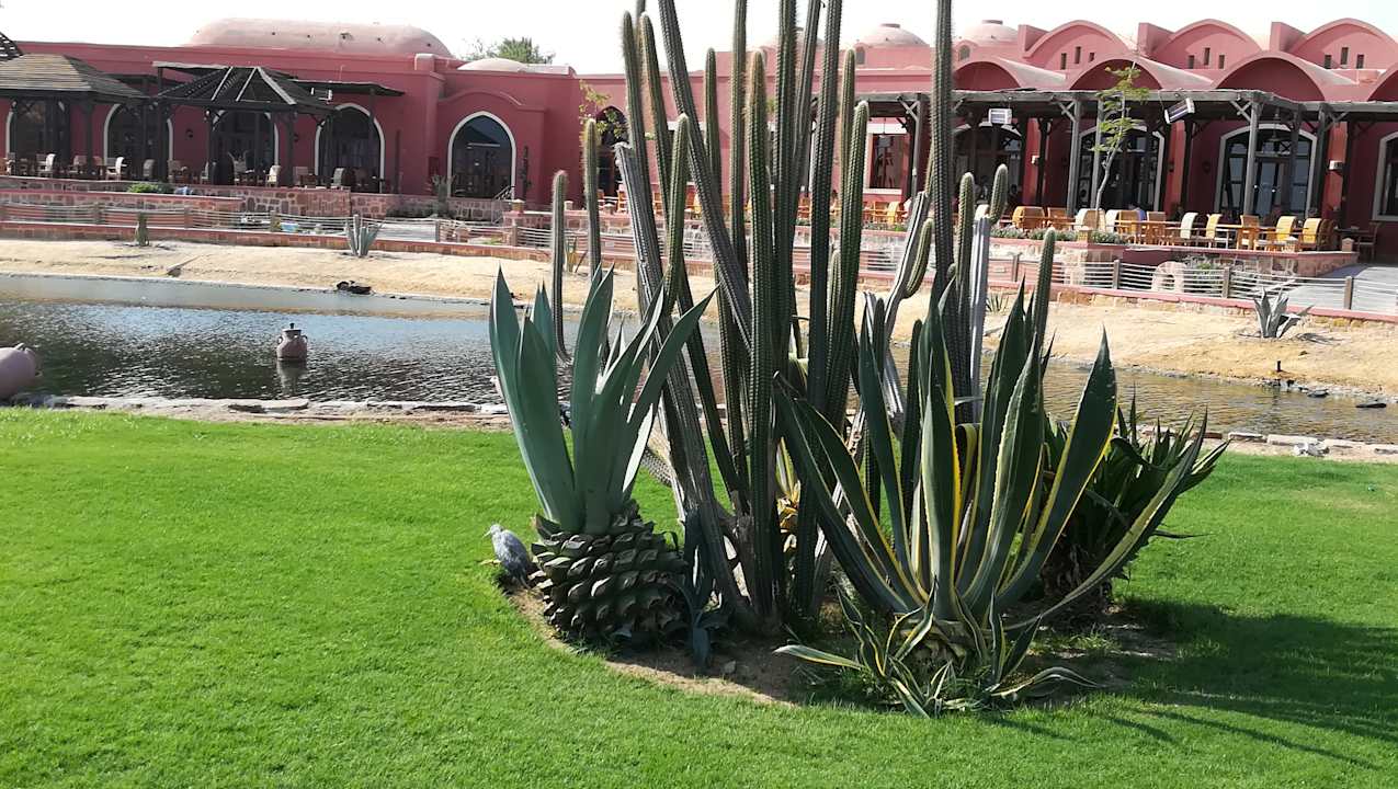 Gartenanlage Radisson Blu Resort, El Quseir