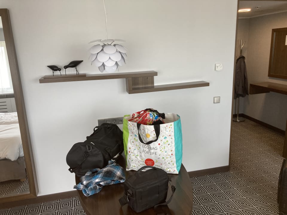 Zimmer Hotel Radisson Blu Lietuva