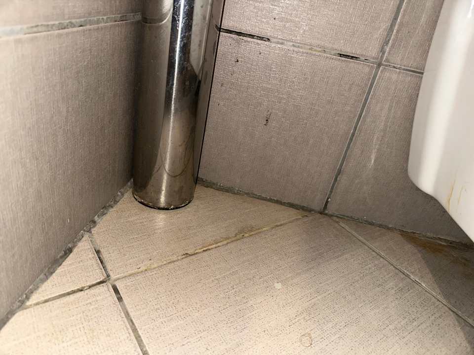 Zimmer Kamelya Aishen Club