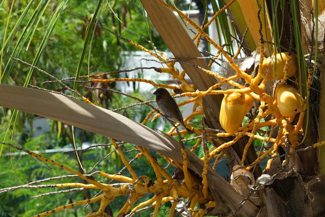 Sonstiges Tia Beach House