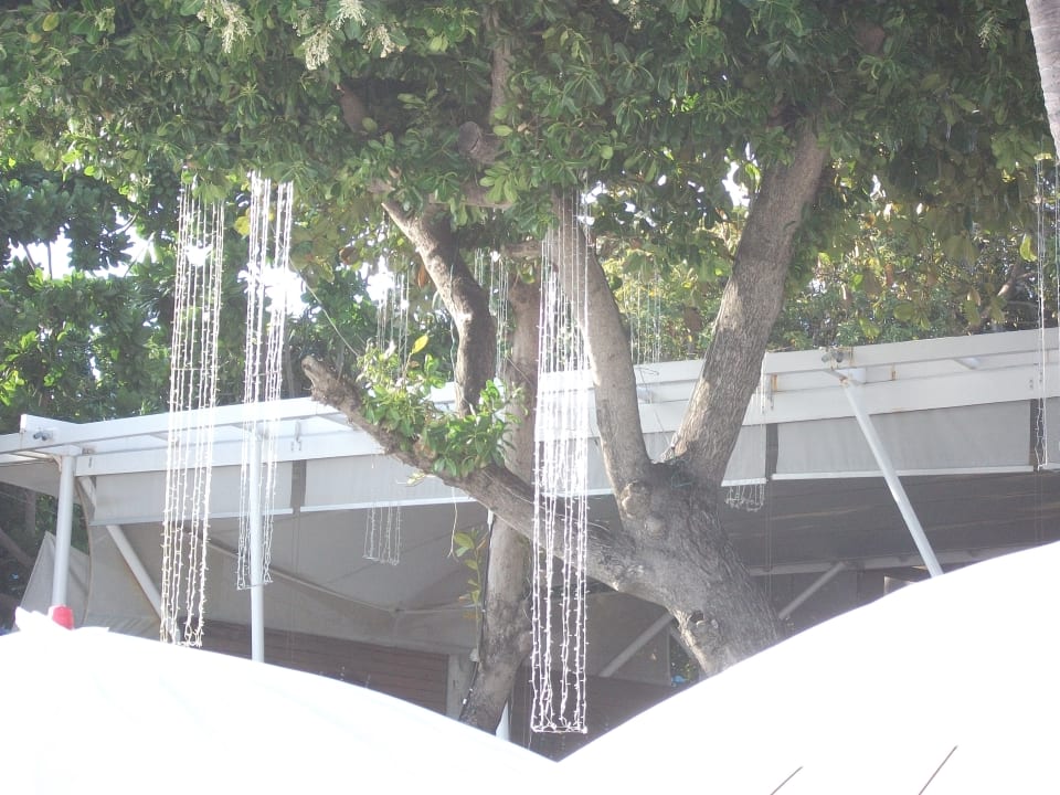 Gartenanlage Sai Kaew Beach Resort