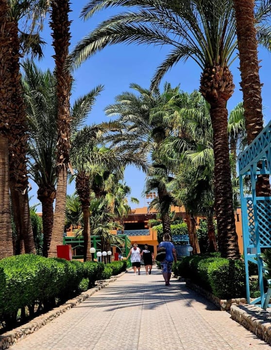 Gartenanlage Giftun Azur Resort