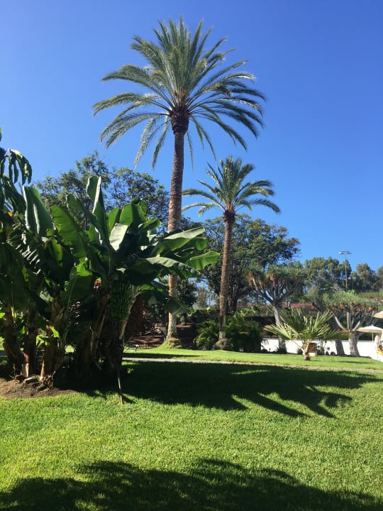 Gartenanlage TRH Taoro Garden