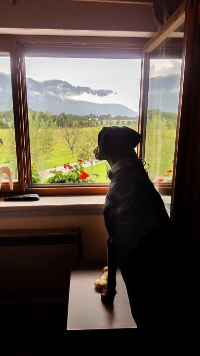 Zimmer Ferienwohnung Wolte