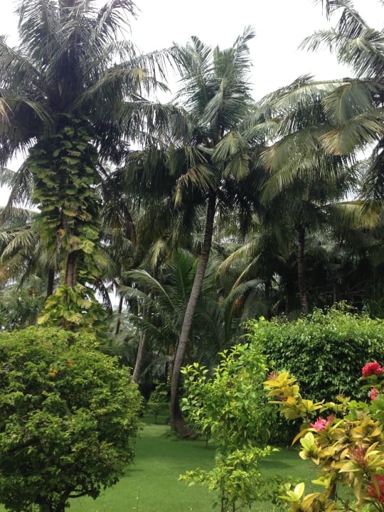 Garten Adaaran Select Meedhupparu Island Resort - Premium All Inclusive