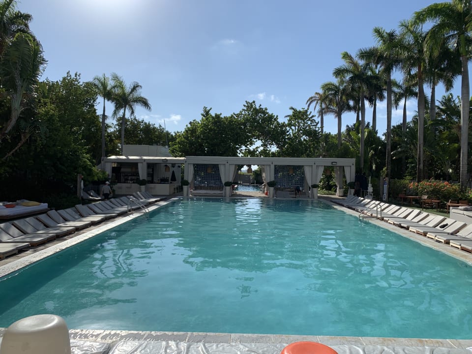 Pool Hotel The Shore Club