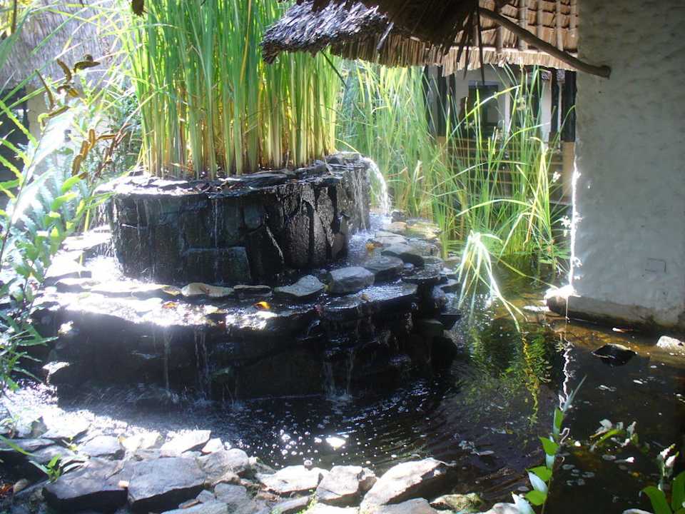 Teich bei der Lobby Hotel Southern Palms Beach Resort