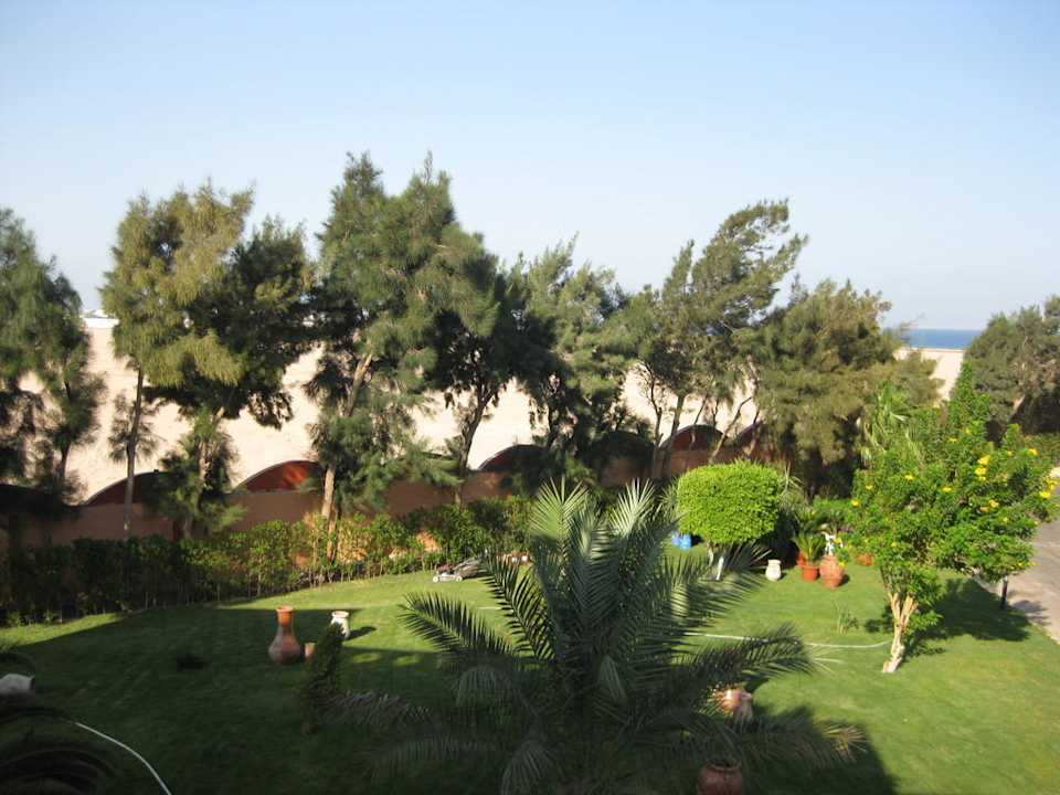 Aussicht vom Balkon Beach Albatros Resort