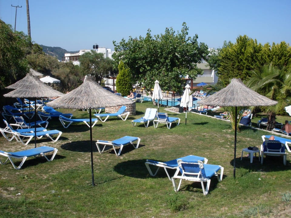 Terrassenförmig angelegte Liegewiese Hotel Sirene Beach
